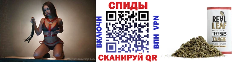 БУТИРАТ BDO 33%  где купить наркоту  Орлов 