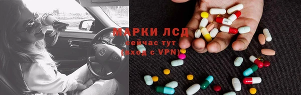 шишки Арсеньев