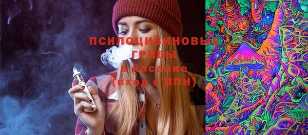 дмт Аркадак