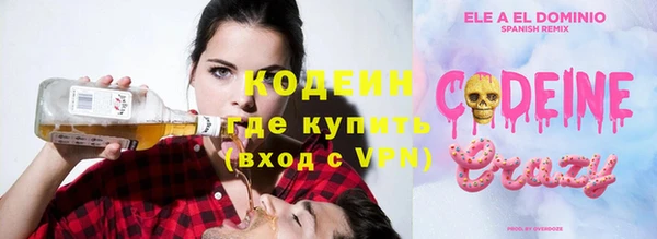 шишки Арсеньев