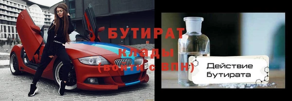 шишки Арсеньев