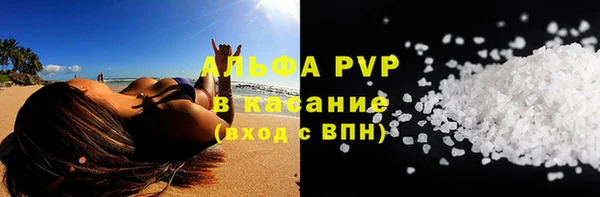 шишки Арсеньев