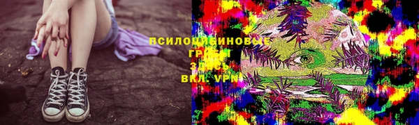 прущая мука Армянск
