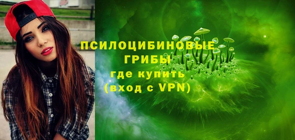 дмт Аркадак