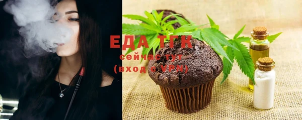 шишки Арсеньев