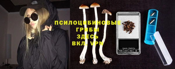 дмт Аркадак