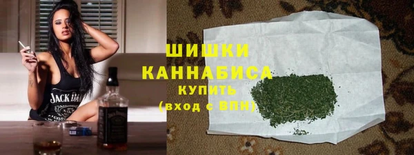 шишки Арсеньев